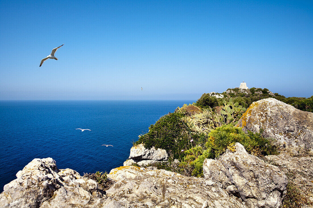 Leuchtturm, Capo di Milazzo, Sizilien, Italien