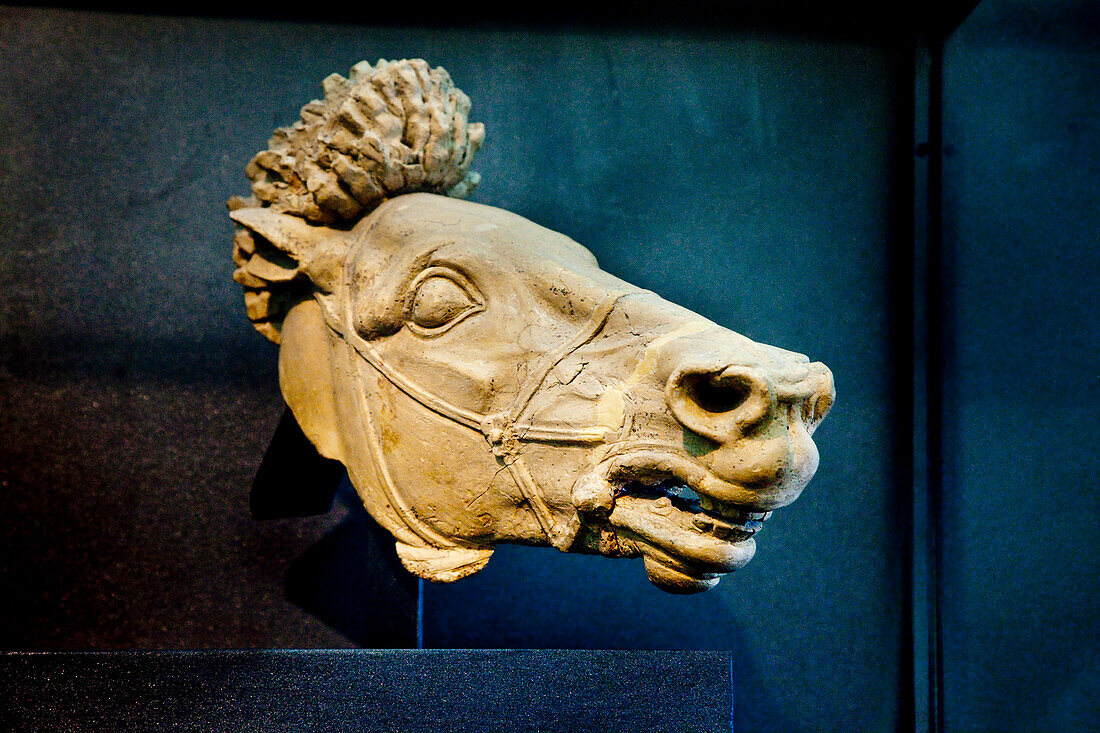 Ancient Horse head, archeological museum, Gela, Sicily, Italy