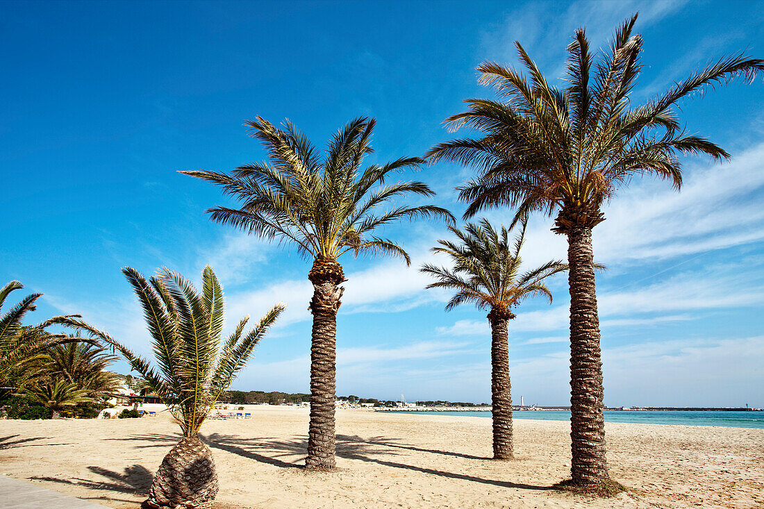 Beach, San Vito lo Capo, Sicily, Italy