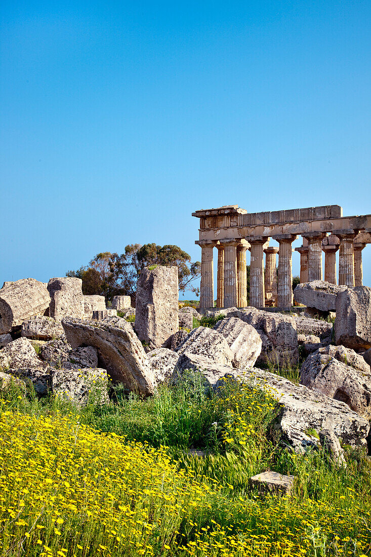 Tempel E Selinute, Selinut, Sizilien, Italien, Europa