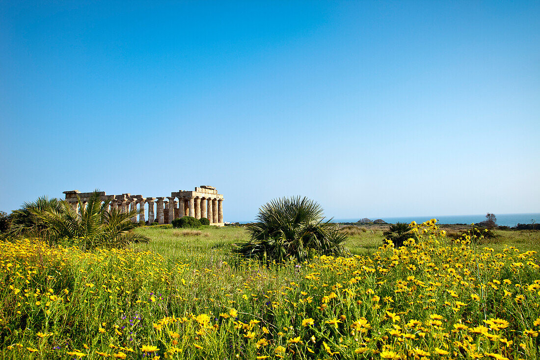 Tempel E Selinute, Selinut, Sizilien, Italien, Europa