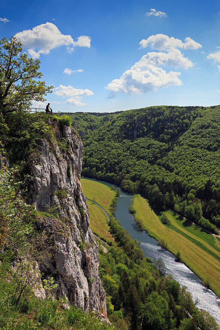 View towards the Eichfelsen rocks above the Danube river, near Beuron monastery, Upper Danube nature park, Danube river, Baden-Württemberg, Germany