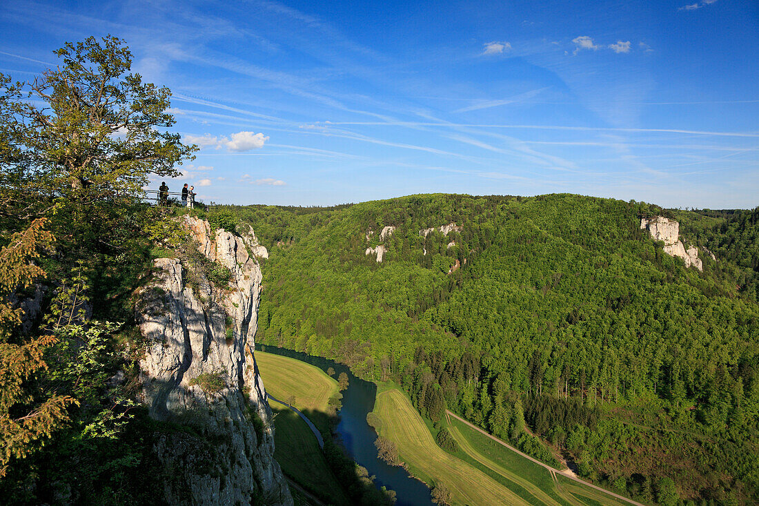 Blick zum Eichfelsen über der Donau, nahe Kloster Beuron, Naturpark Obere Donau, Schwäbische Alb, Baden-Württemberg, Deutschland