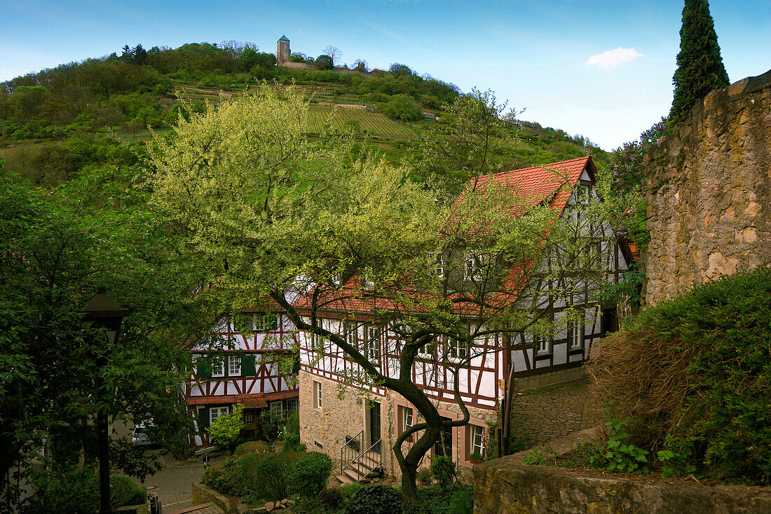 View over a lane with half-timbered houses towards Starkenburg castle, Heppenheim, Hessische Bergstrasse, Hesse, Germany