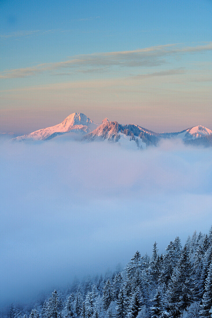 Risserkogel and Plankenstein in alpenglow above a sea of clouds, Bavarian Pre-Alps, Bavarian Alps mountain range, Upper Bavaria, Bavaria, Germany