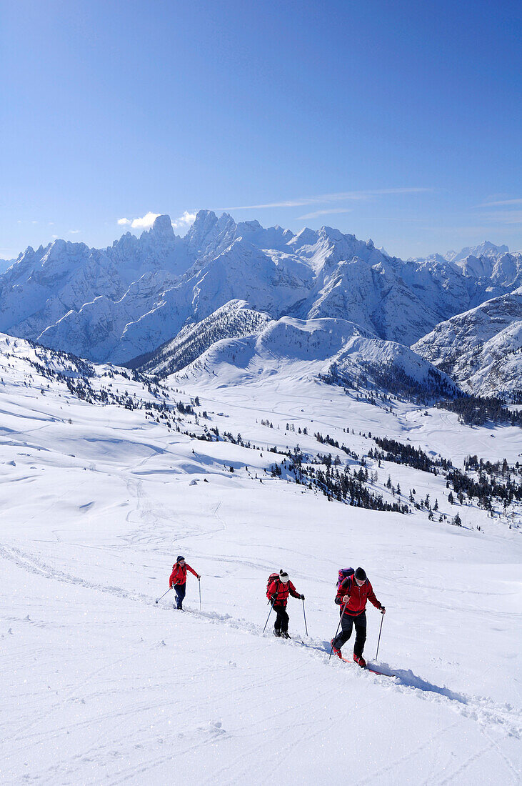 Three people backcountry skiing, ascending to Duerrenstein, Cristallo mountain range in background, Duerrenstein, Fanes-Sennes natural park, UNESCO World Heritage Site, Dolomites, South Tyrol, Italy