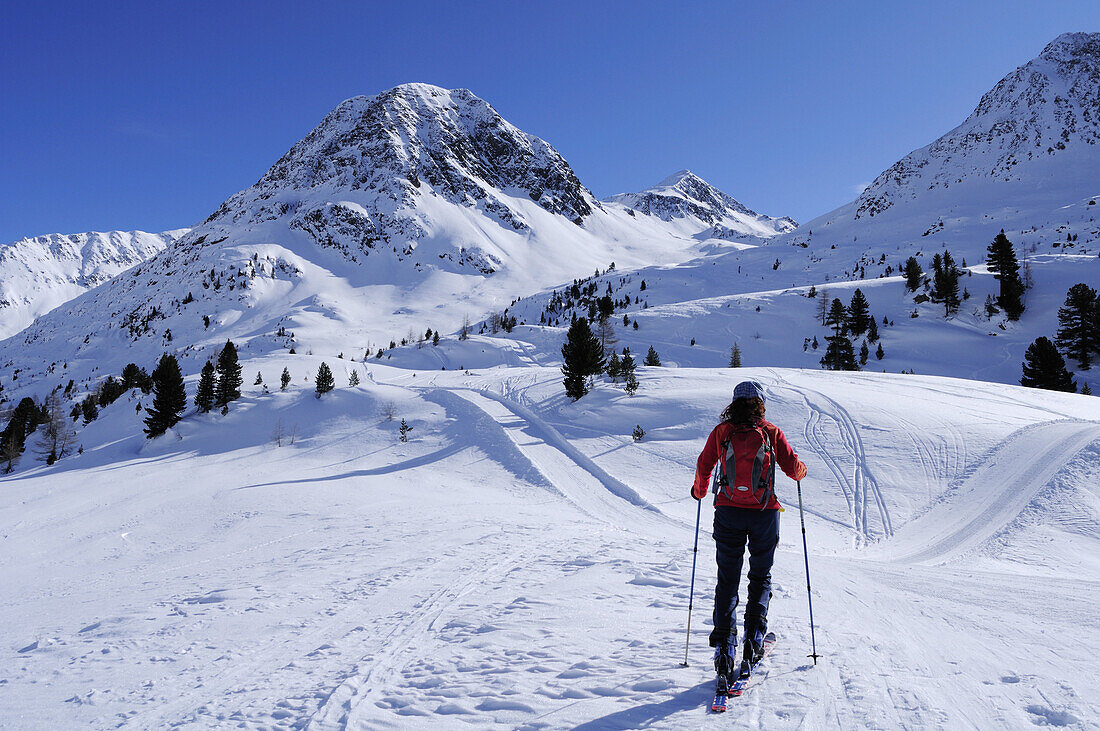 Skitourengeherin steigt zum Hinterbergkofl auf, Hinterbergkofl, Staller Sattel, Villgratner Berge, Südtirol, Italien