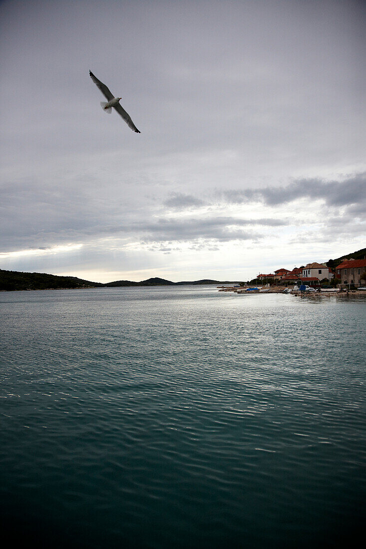 Bucht der Insel Skirje und Möwe unter Wolkenhimmel, Kornaten, Kroatien, Europa