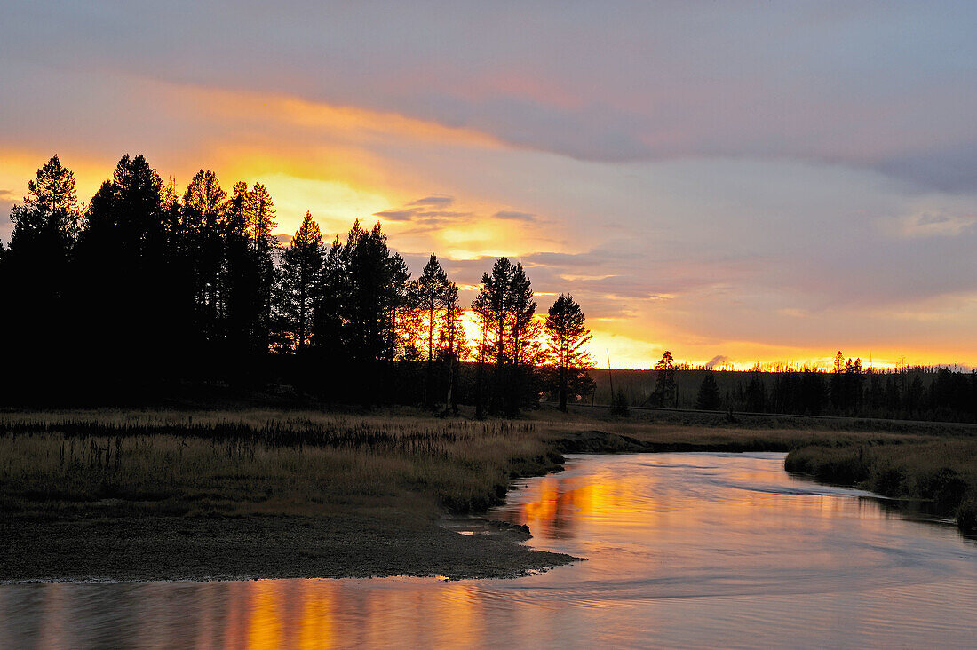 Gibbon River at sunset