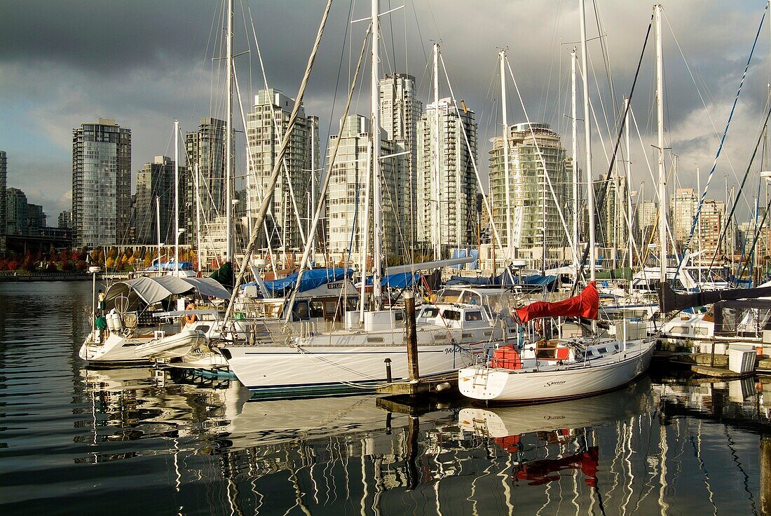 False Creek, Vancouver, British Columbia, Canada