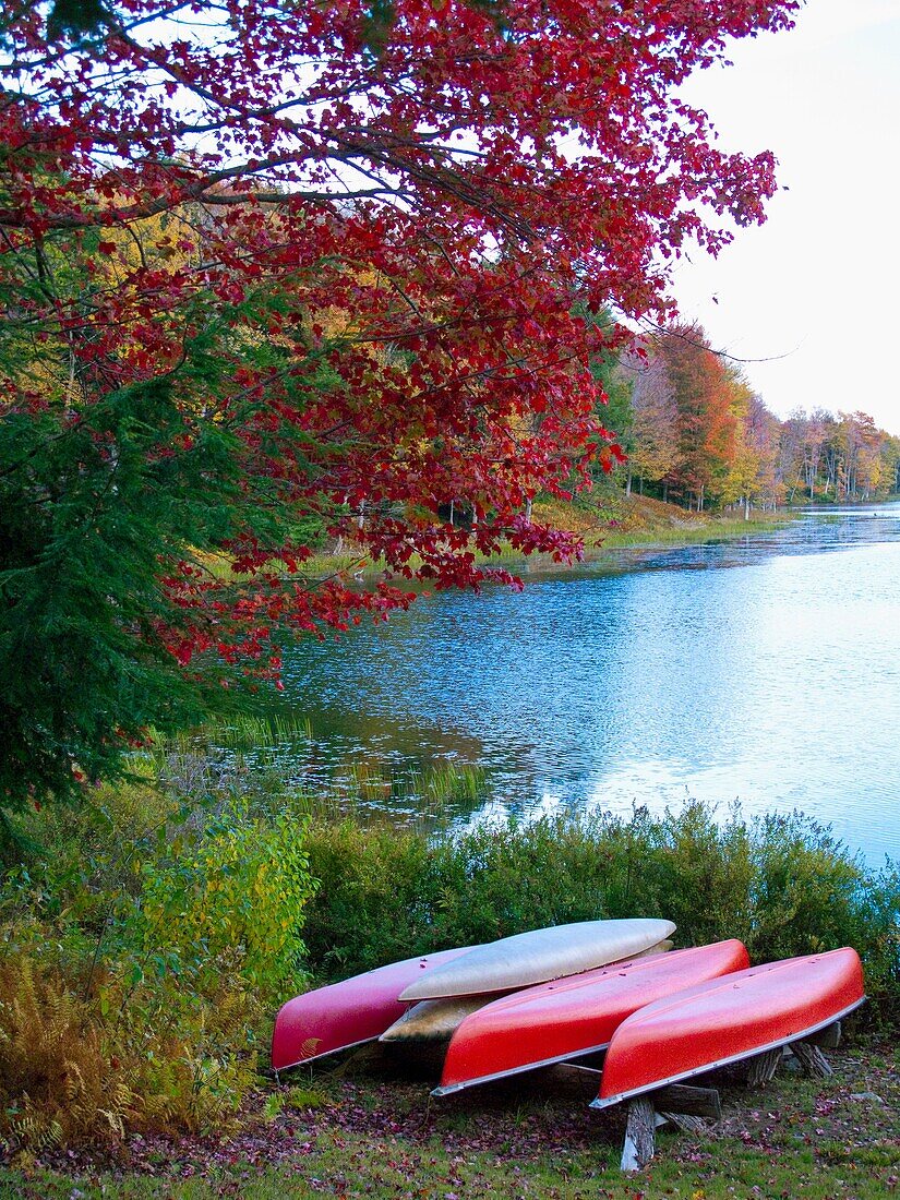 canoes on shore in autumn