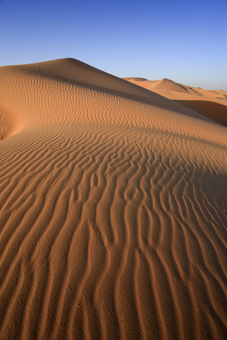 United Arab Emirates, Liwa Oasis, Sand dunes near the Empty Quarter Desert