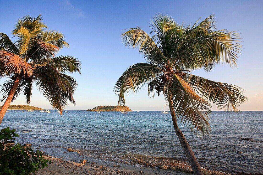 Usa, Caribbean, Puerto Rico, Vieques Island, Esperanza Bay