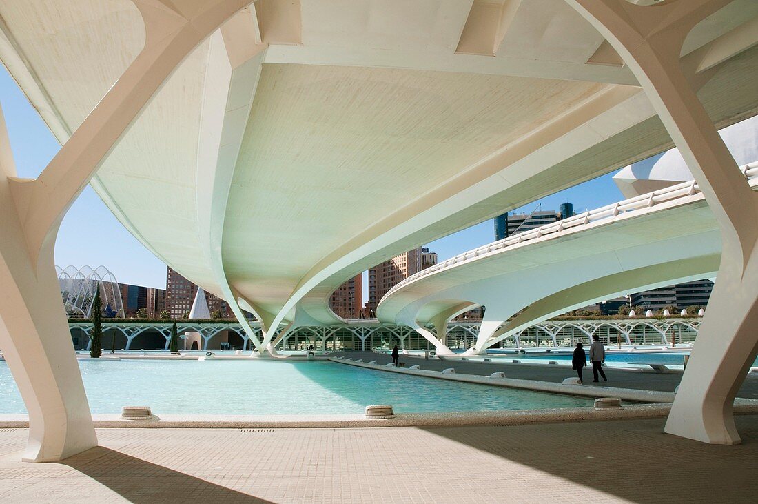 Monteolivet-Brücke, Stadt der Künste und Wissenschaften. Valencia, Comunidad Valenciana, Spanien.