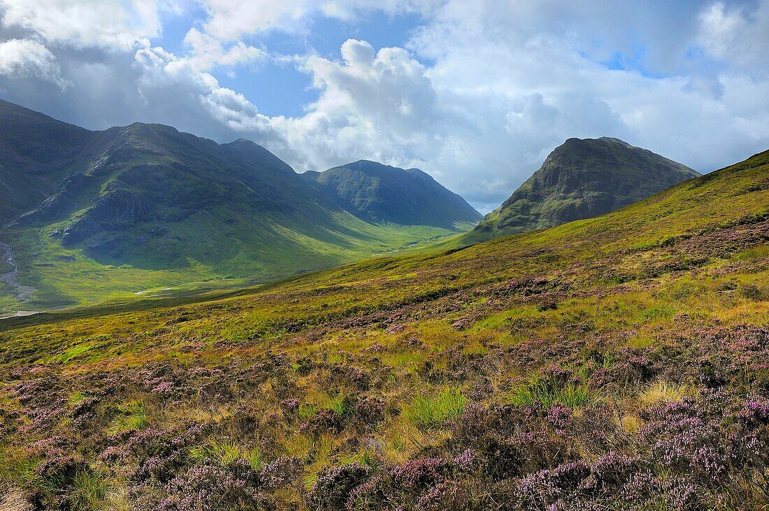 Great Britain, Scotland, West Highland Way, Glen Coe region