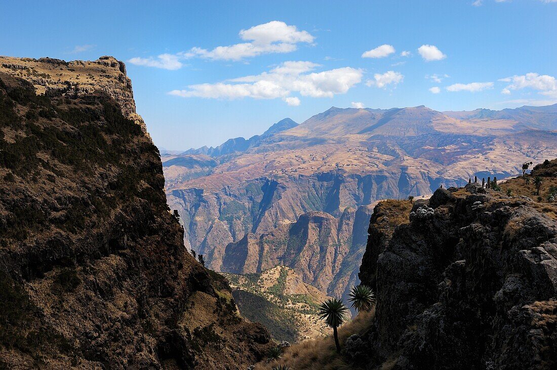 Ethiopia, Simien Mountains National Park