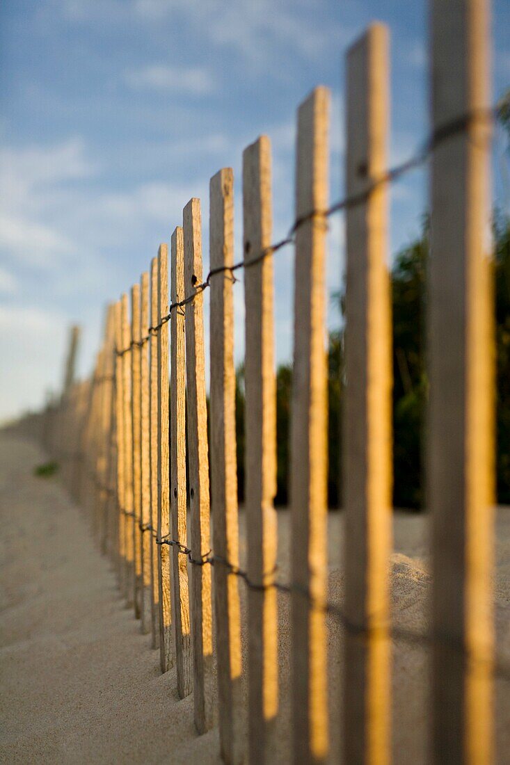 Fence along the beach at Cape Henlopen State Park, DE