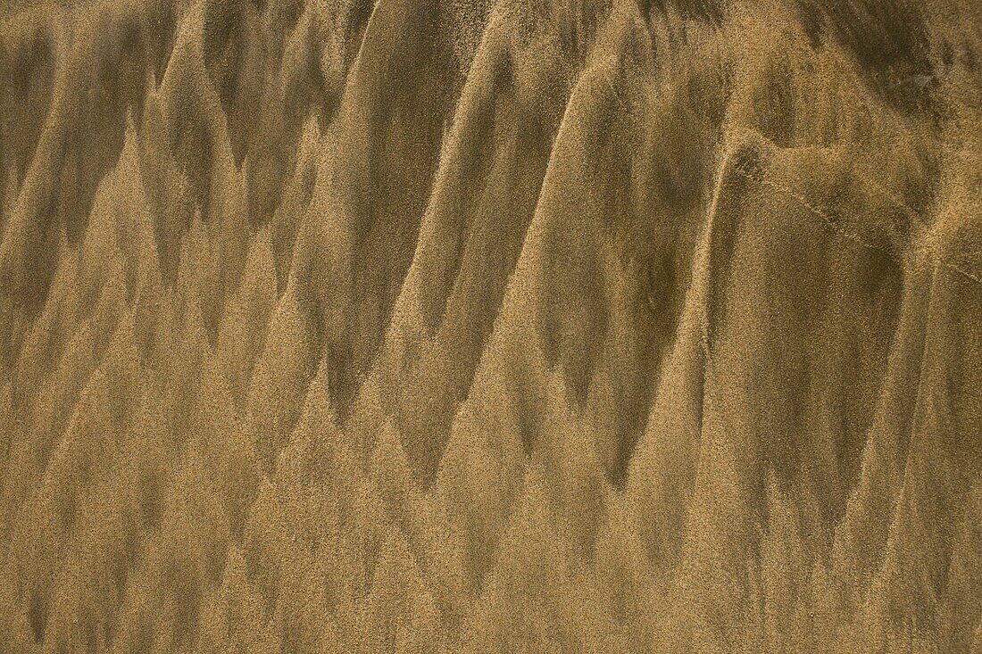 Abstract pattern formed by the mixing of different sand mineral compositions at Playa Grande, Costa Rica
