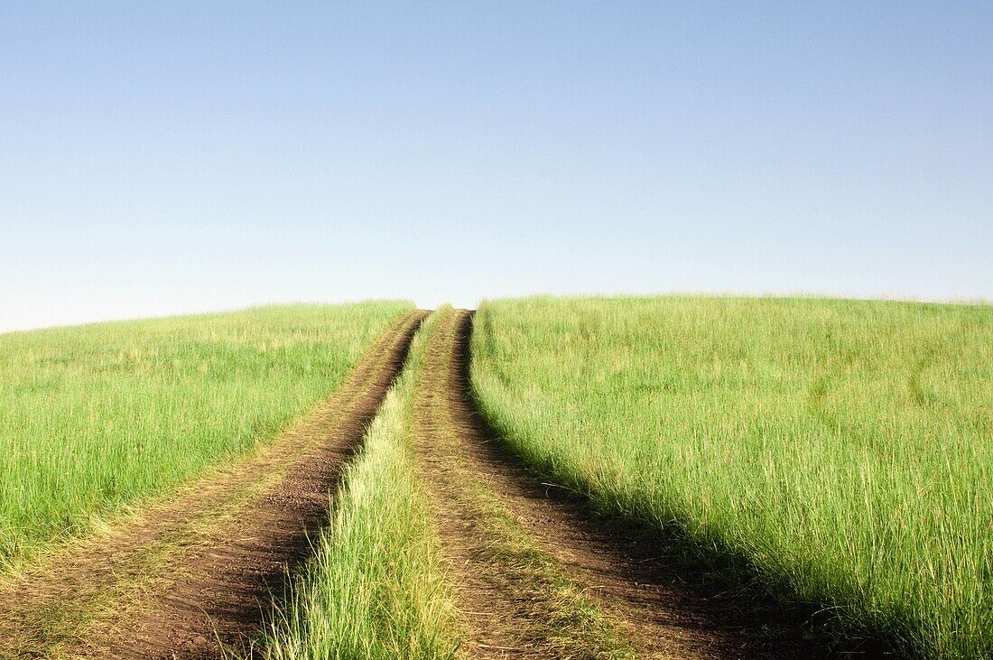 July 2009,Hulunbeir landscape in China´s Inner Mongolia Grassland