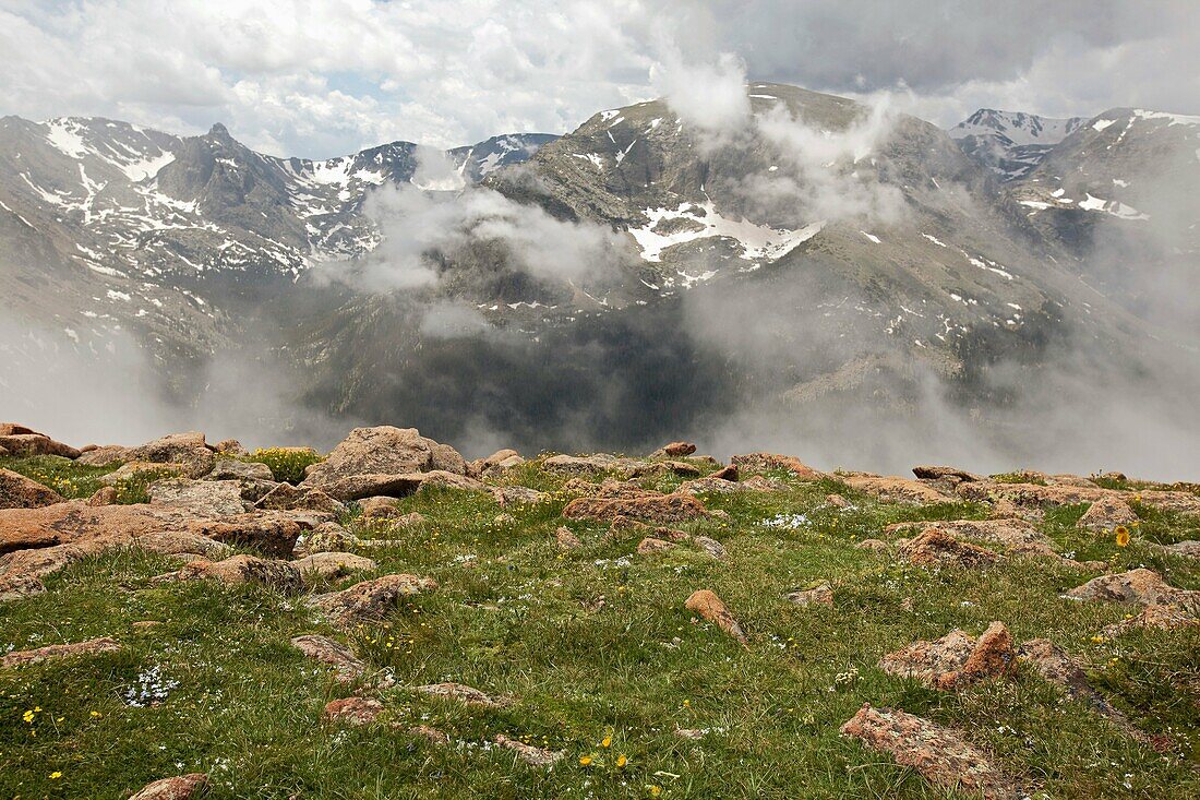 Rocky Mountain National Park, Colorado - The alpine tundra along Trail Ridge and a view of the Continental Divide  © Jim West