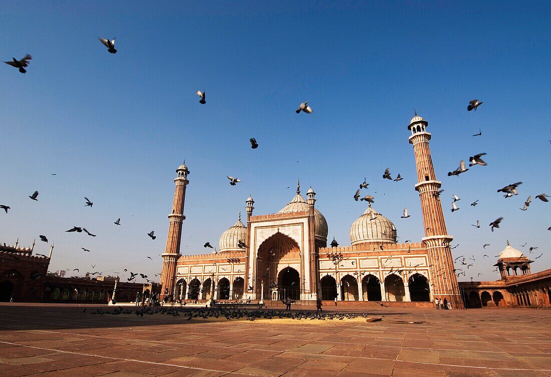 Jama Masjid Mosque Old Delhi India