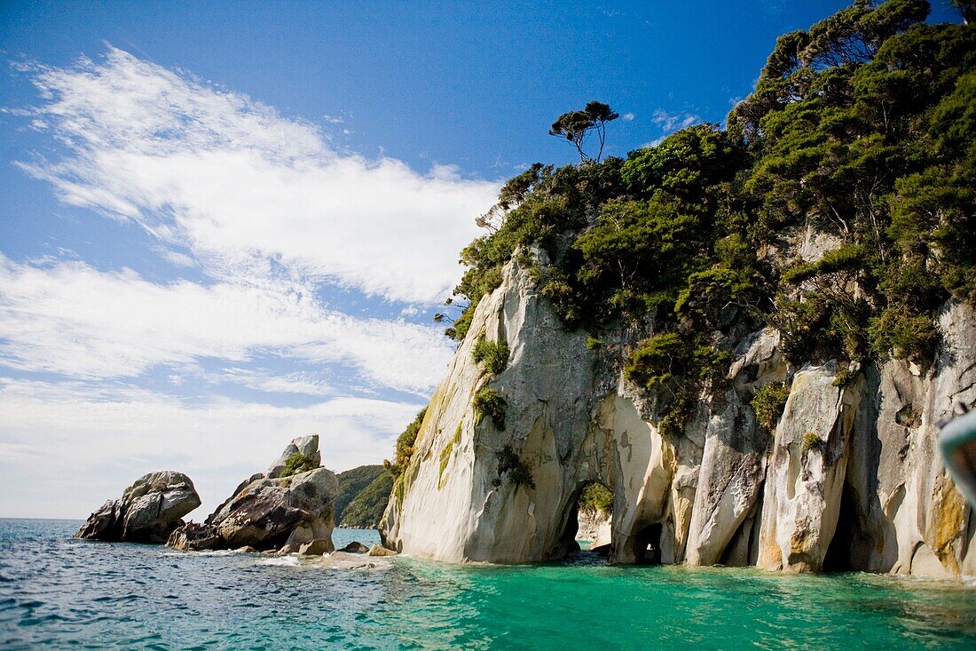 Shag Harbor is a long way inland in Abel Tasman National Park, South Island, New Zealand