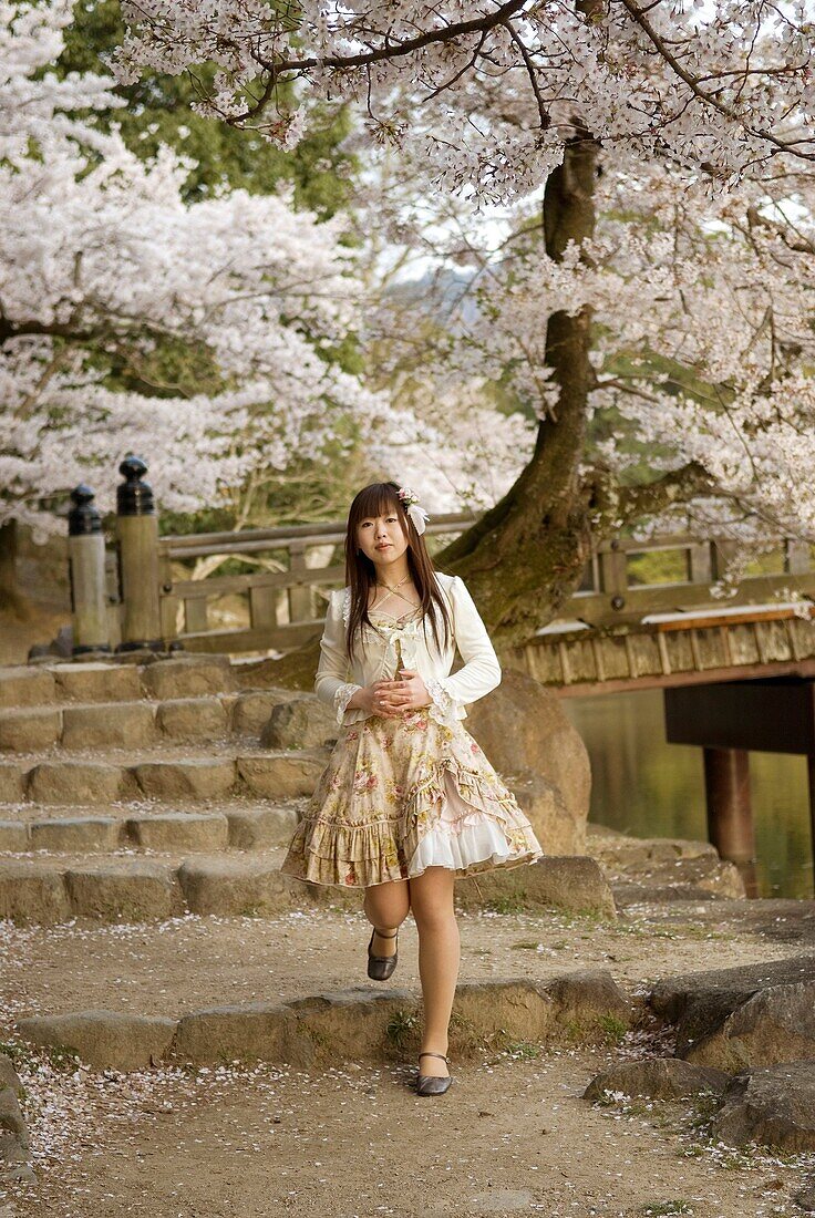 Junge Frau unter Kirschbaumblüten,Sous les cerisiers en fleurs, Nara, Japon