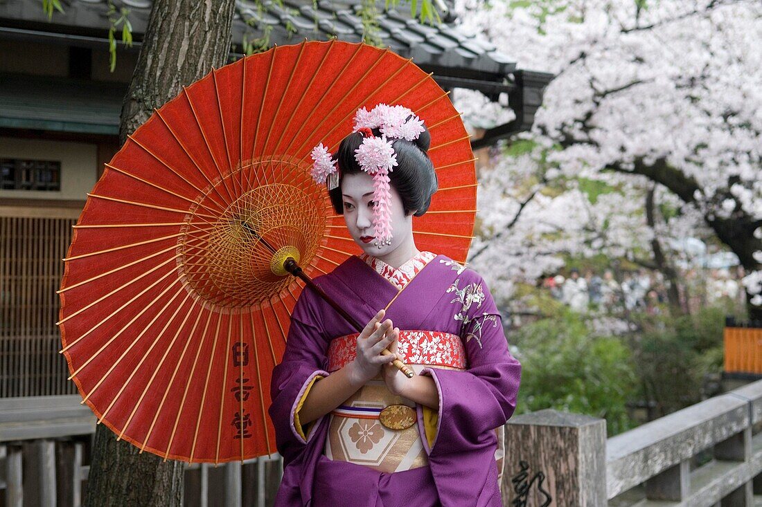 Geisha mit rotem Sonnenschirm im Gion-Viertel,Geisha dans le quartier de Gion à Kyoto, Japon