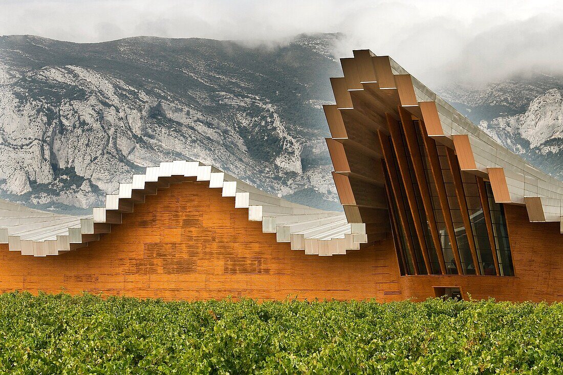 Ysios winery building  Alava  Basque country  Spain
