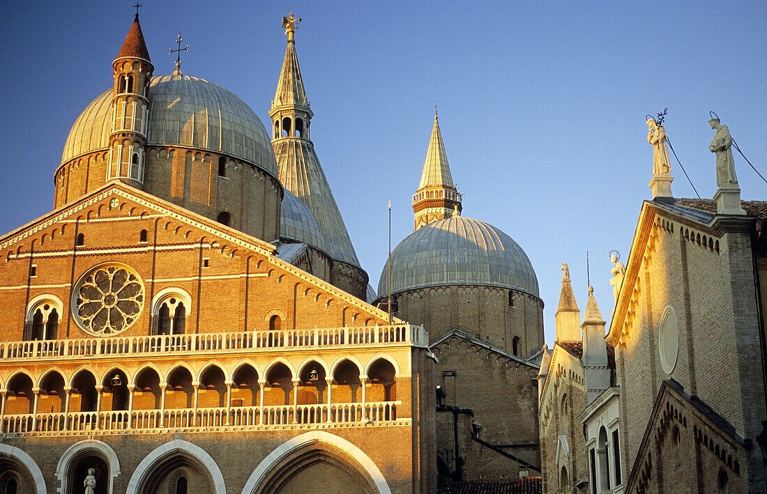 Basilica of Saint Anthony, Padova,Veneto, Italy