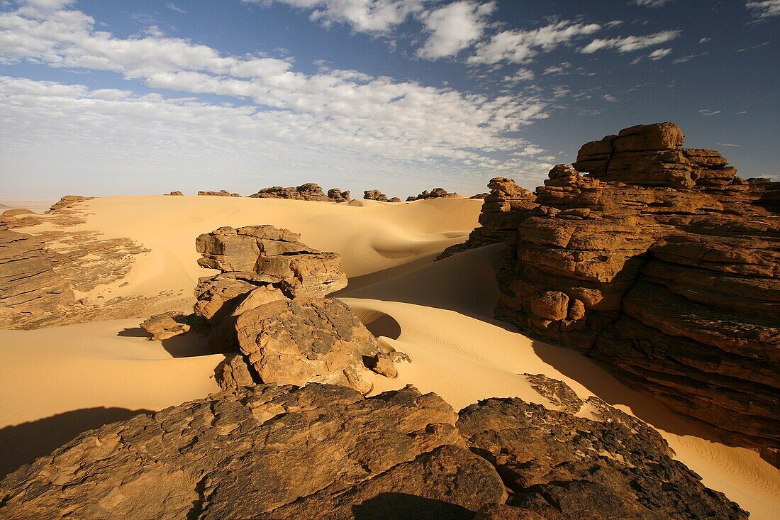 Oued Tin Tarabine  Tassili Ahaggar  Sahara desert  Algeria