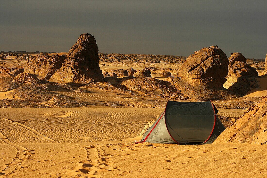 Tent  In Tehog  Tassili Ahaggar  Sahara desert  Algeria