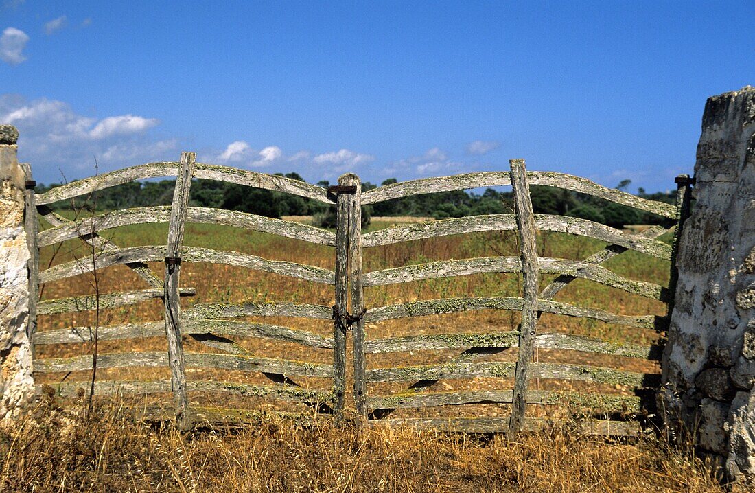 Woodden fence  Minorca  Balearic island  Spain