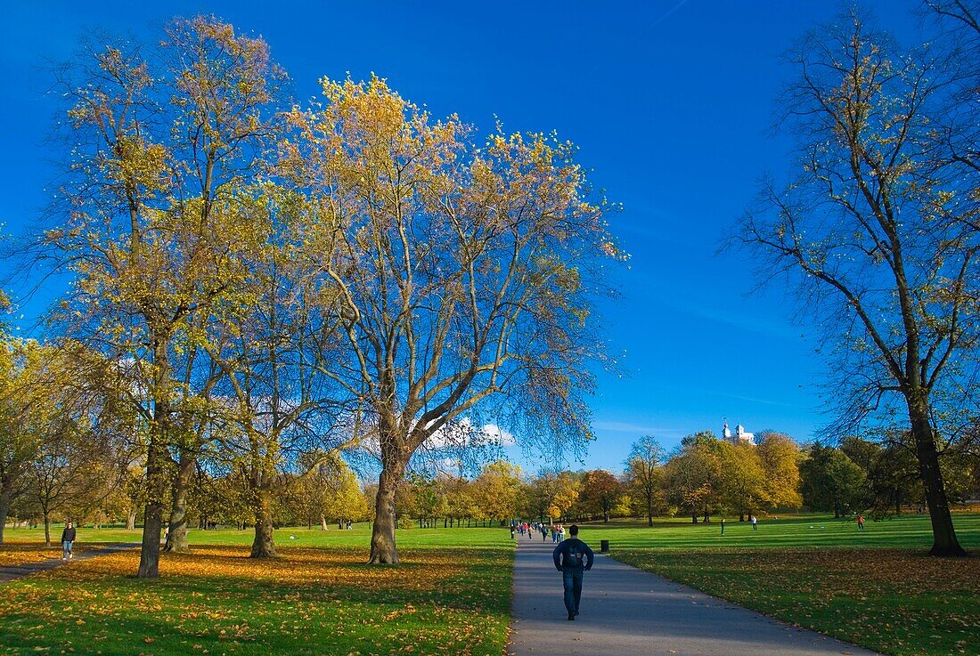 Greenwich Park in Autumn Greenwich southeast London England UK Europe