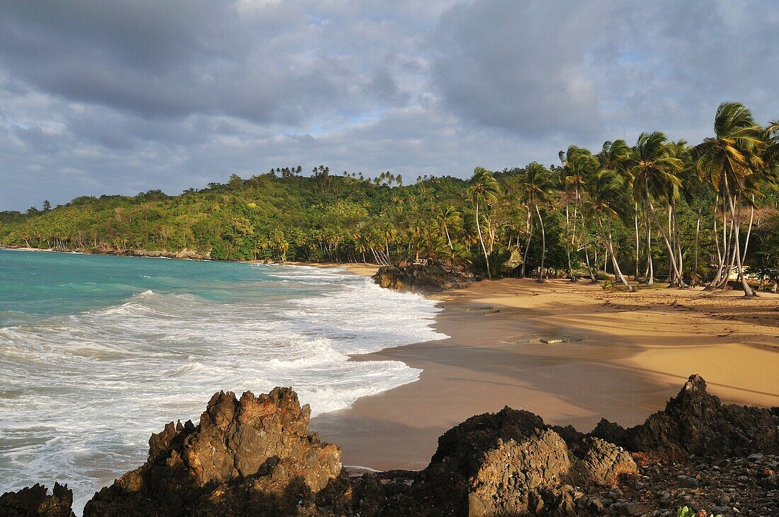 Caraibes Republique Dominicaine péninsule de Samana  Les plages sauvages de la baie de Rincon  La plage Colorada  Dominican Republic