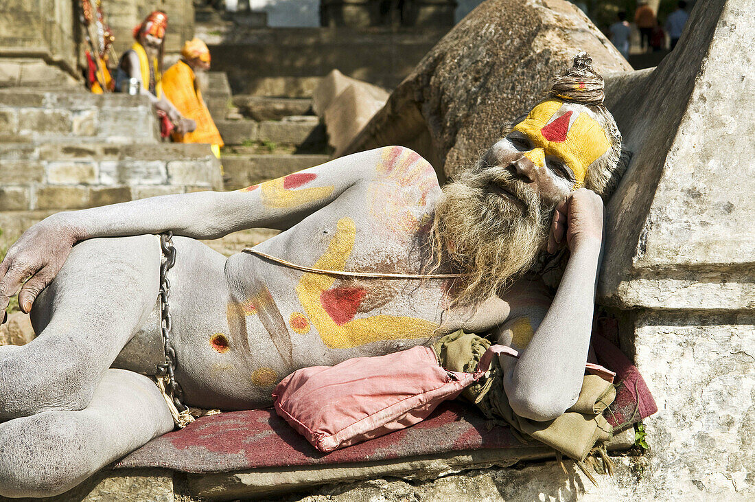 An Indian Sadhu  holy man  with very long rasta style dreadlock hair