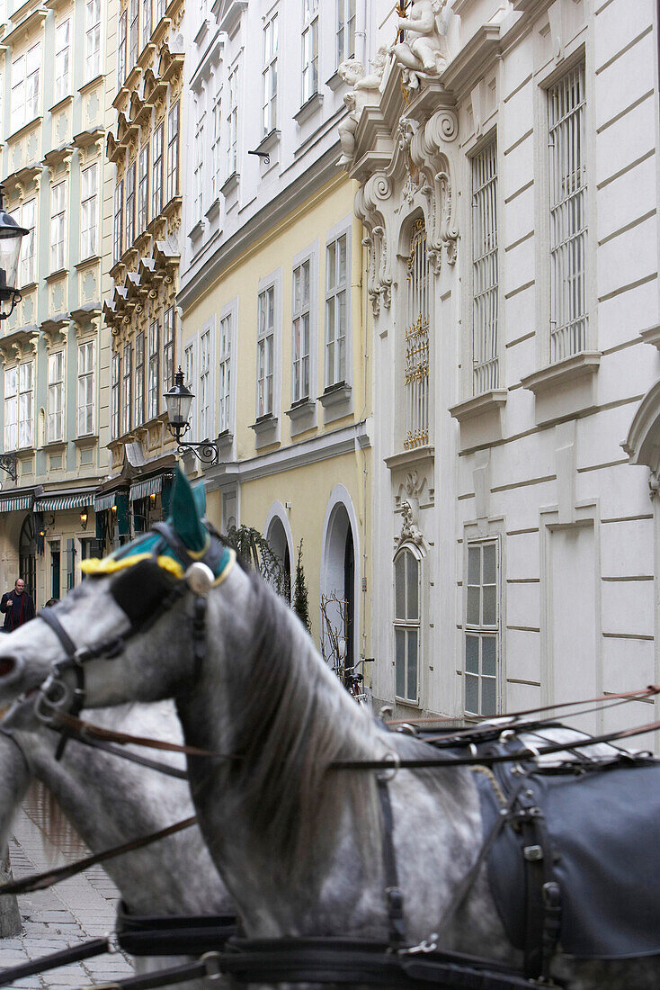 Gasse mit Fiaker und Pferde in Wien in der Altstadt, Österreich