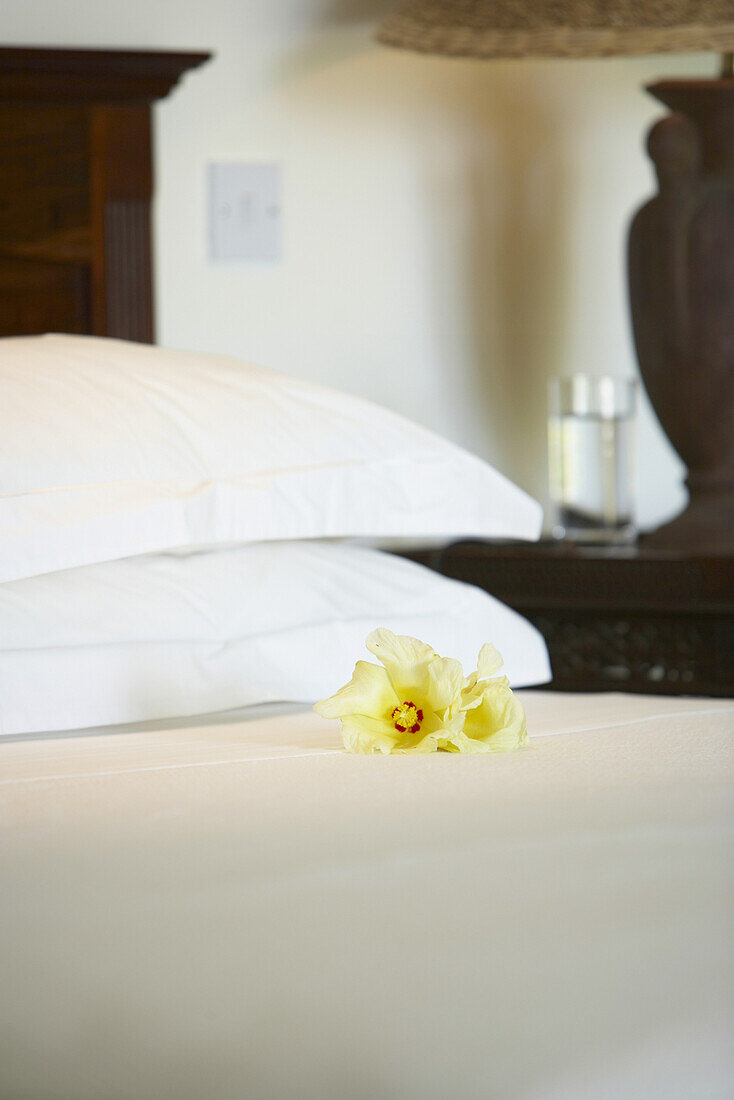Hibiscus on bed, Bedroom, Cousine Island Ressort, Seychelles