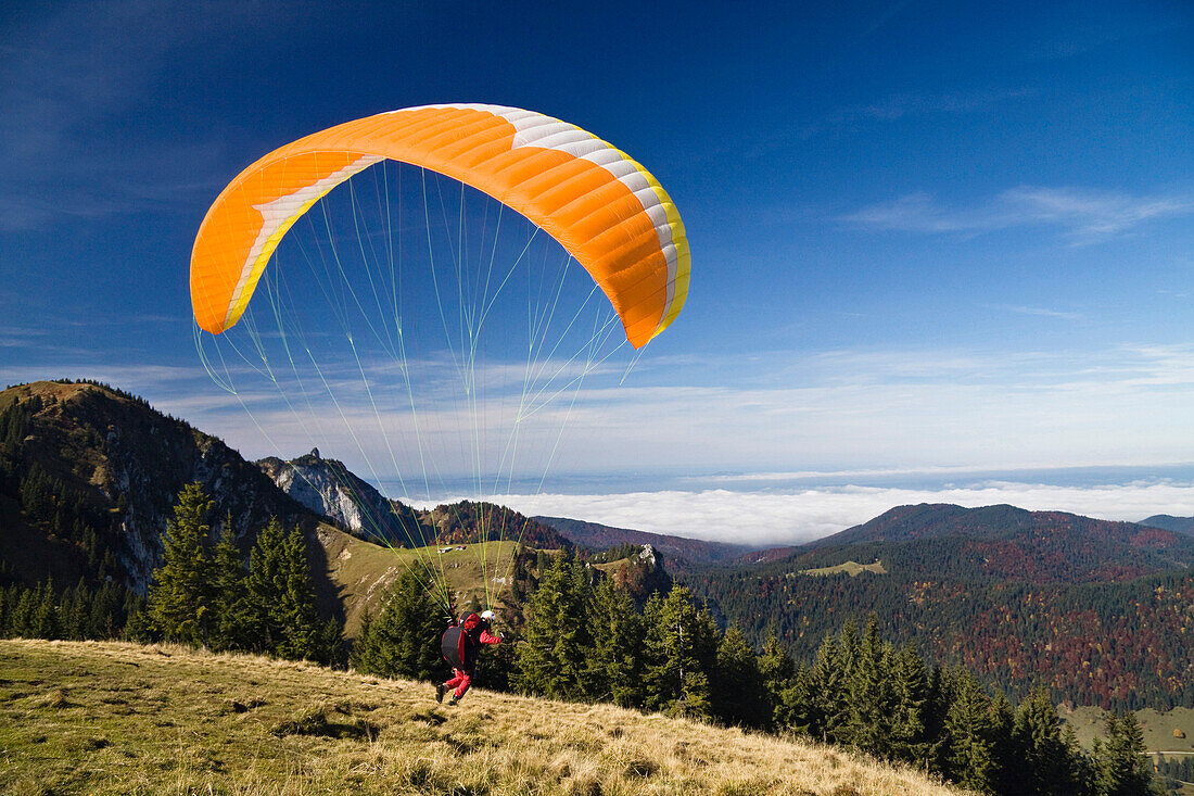 Paraglider at Brauneck, near Lenggries, Alps, Bavaria, Germany