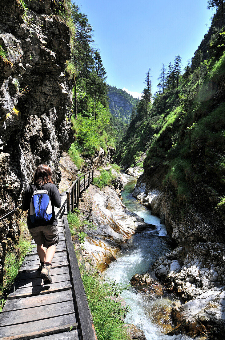 Weißbachschlucht bei Bad Reichenhall, Berchtesgadener Land, Oberbayern, Bayern, Deutschland