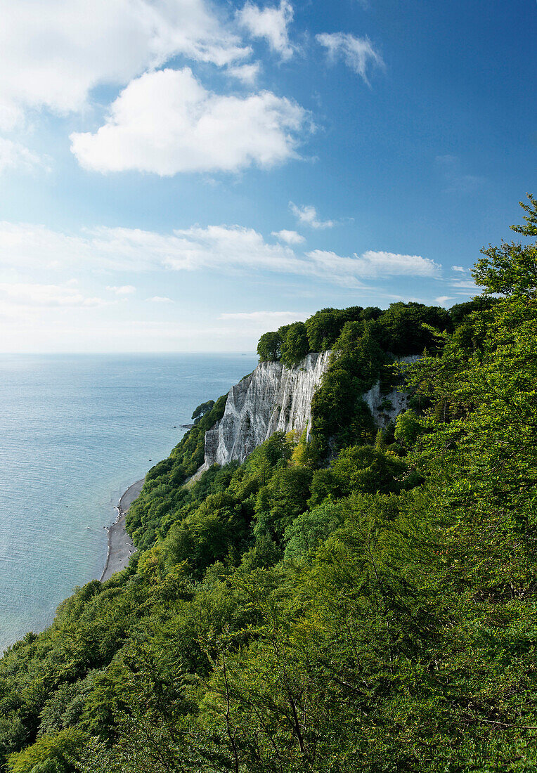 Chalk cliffs of Stubbenkammer, near Sassnitz, Ruegen, Mecklenburg-Vorpommern, Germany