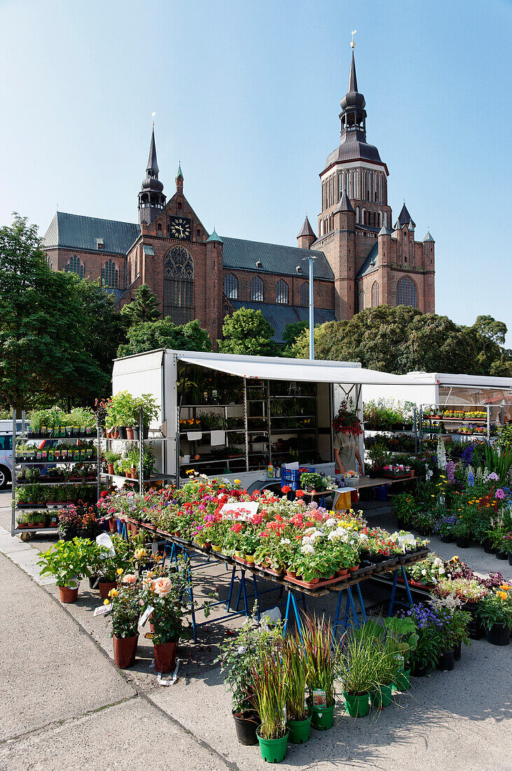 New Market, St. Mary's Church, Hanseatic city of Stralsund, Mecklenburg-Vorpommern, Germany