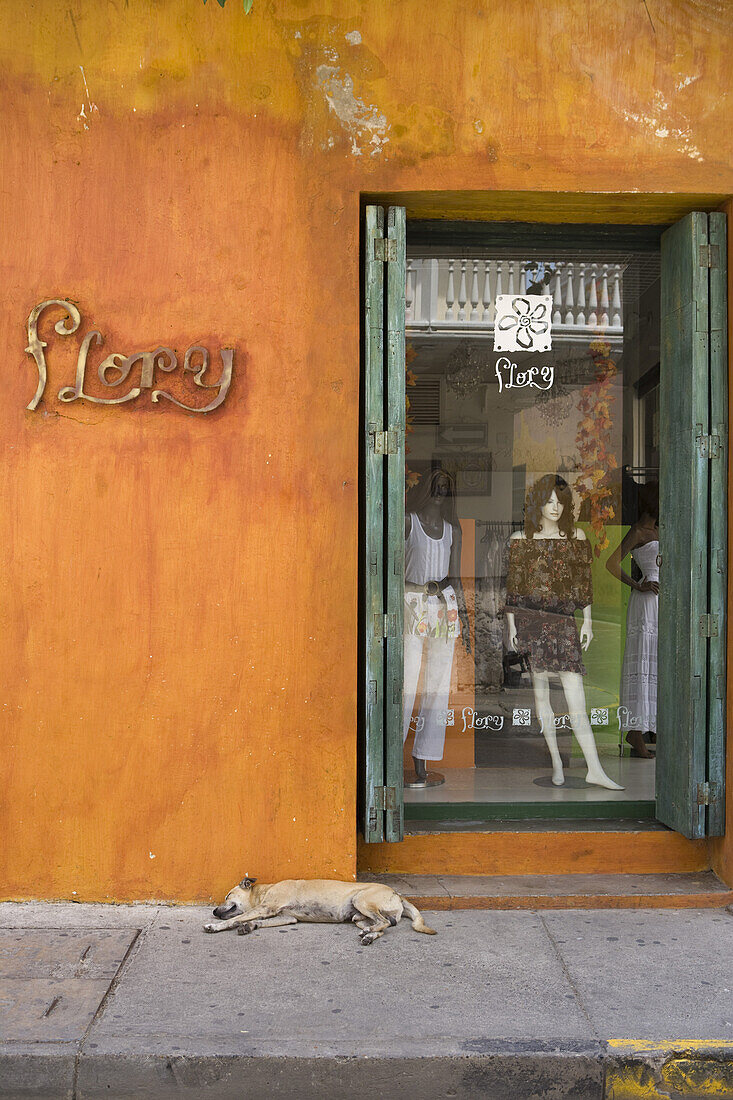 Sleeping dog outside fashion store, Cartagena, Bolivar, Colombia