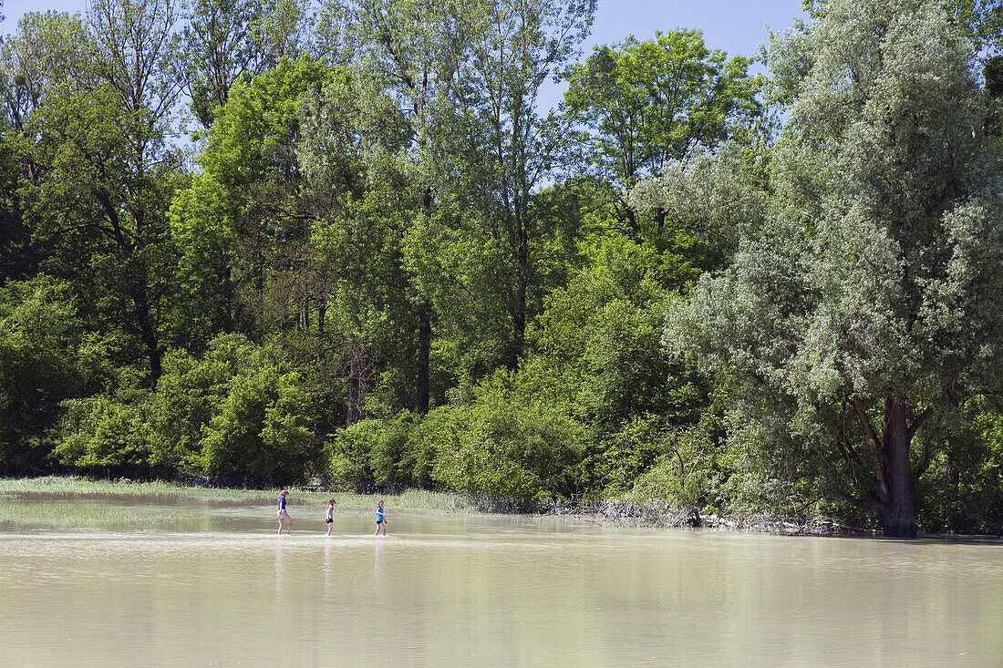 Woman and two girls wading through high water of Isar river, Isar Cycle route, Isarmund, Lower Bavaria, Germany