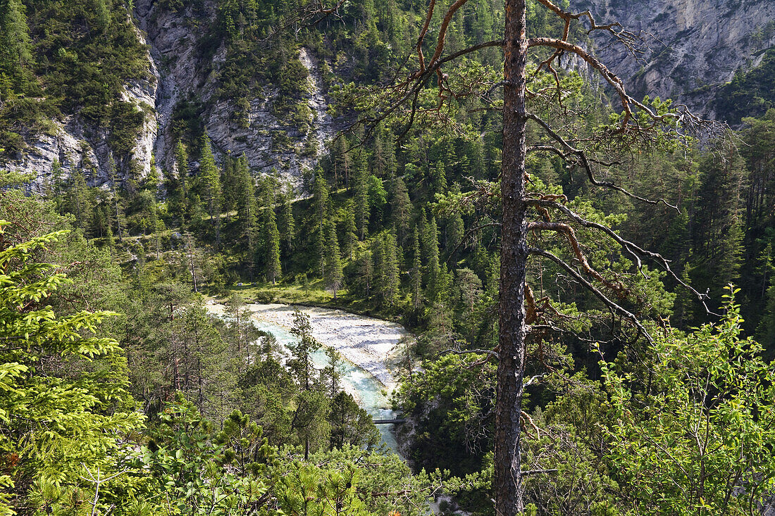 Isar Cycle Route, Hinterau Valley, Karwendel range, Tyrol, Austria