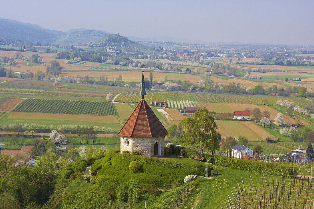 View over Ehrenstetter Ölbergkapelle (Chapel) at Staufen castle, Markgraflerland, Black Forest, Baden-Württemberg, Germany, Europe