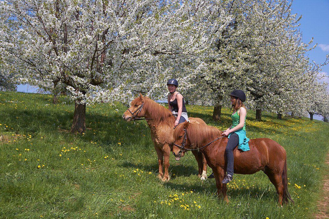 Riding girls, Cherry blossom at Feldberg-Niedereggenen, Markgraflerland, Black Forest, Baden-Württemberg, Germany, Europe