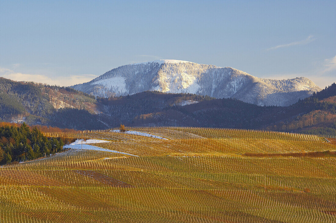 Vineyards near  Ehrenstetten and the mountain Belchen, Eggen Valley, Markgraflerland, Baden-Württemberg, Germany, Europe