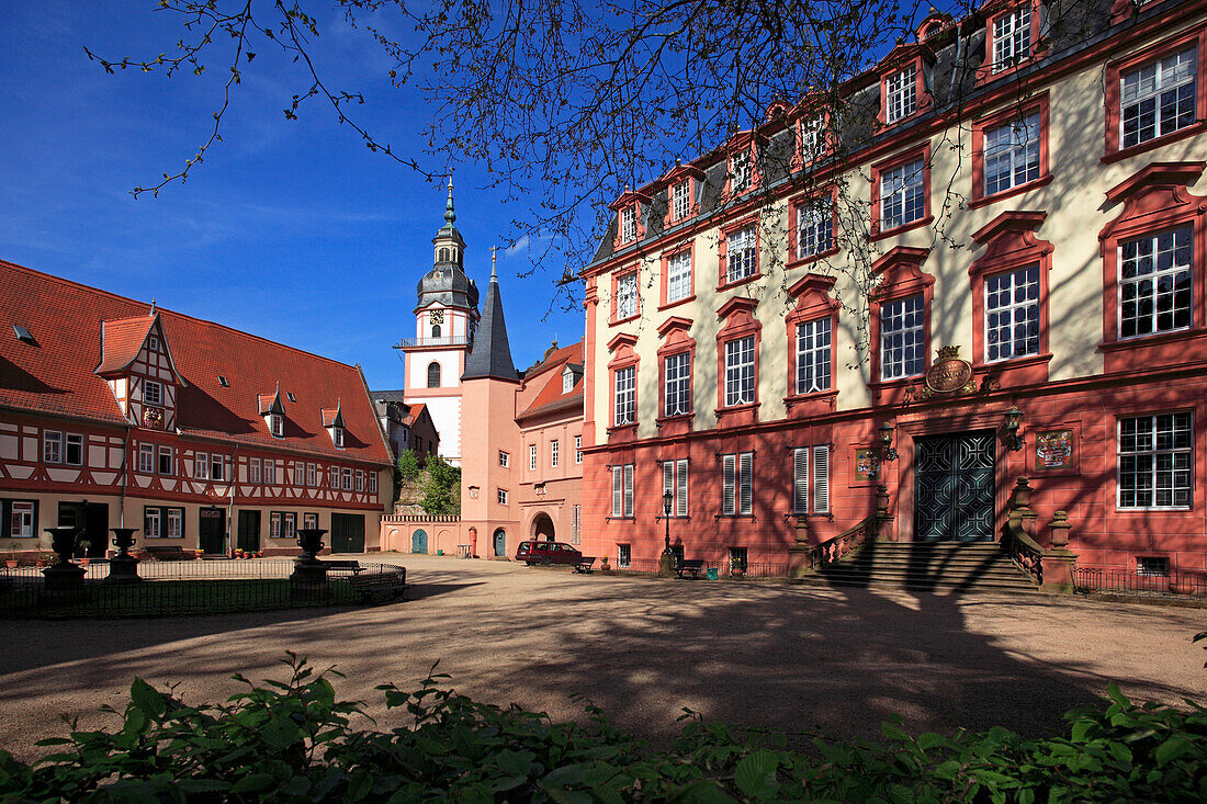 Castle, Erbach, Odenwald, Hesse, Germany