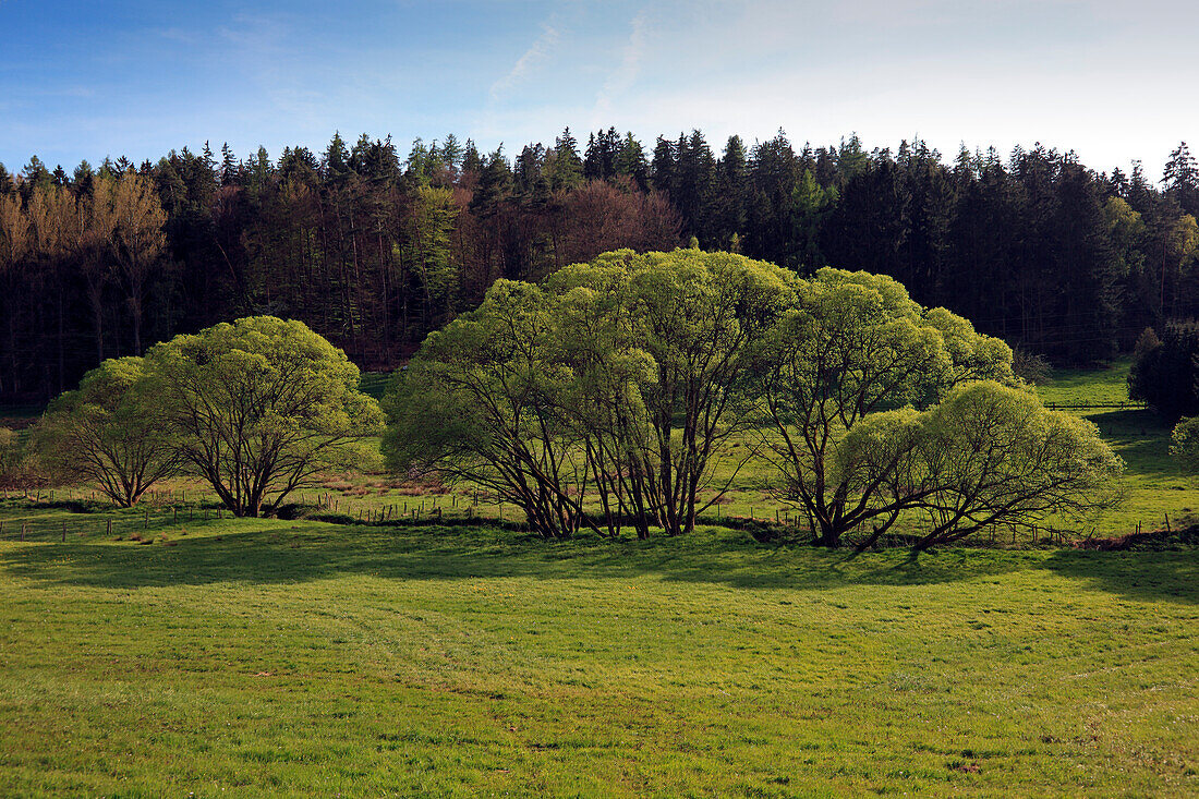 Weiden im Mossautal, Odenwald, Hessen, Deutschland